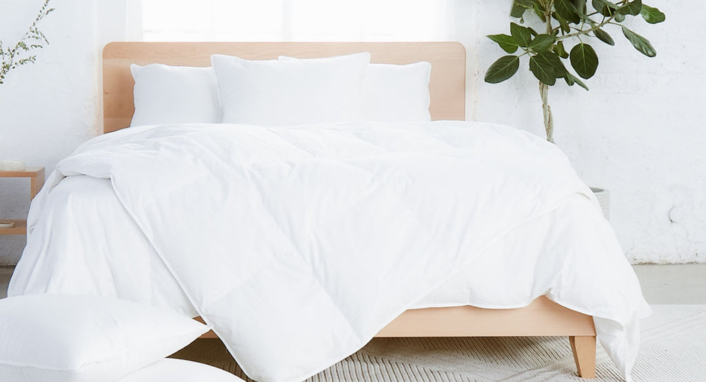 Lunya Bedding | Avocado Down Duvet Insert - Shop Now